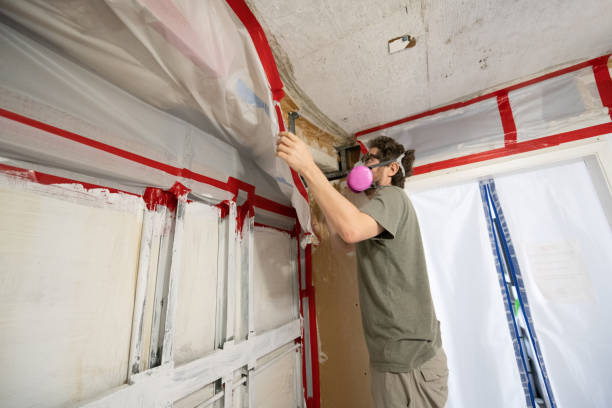 Best Residential Mold Inspection & Testing  in , UT